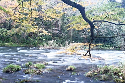 ND Filter OFF